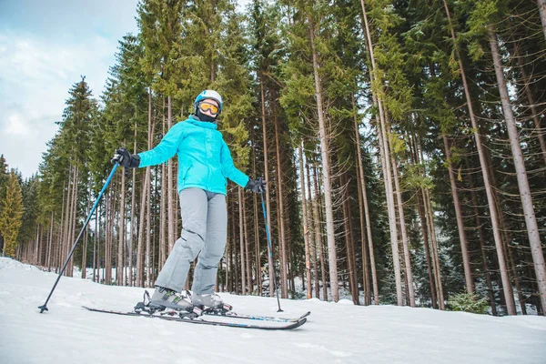 Giovane Donna Adulta Sciare Attività Sportiva Invernale Copia Spazio — Foto Stock