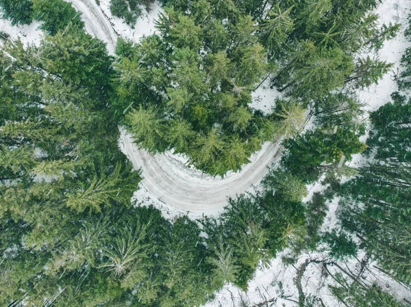 Vista Aerea Del Sentiero Nella Foresta Abeti Spese Generali — Foto Stock