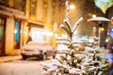 köknar ağacı tarafından kar kaplı yakın City geceleri sokak. Noel zamanı