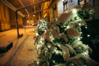 köknar ağacı tarafından kar kaplı yakın City geceleri sokak. Noel zamanı