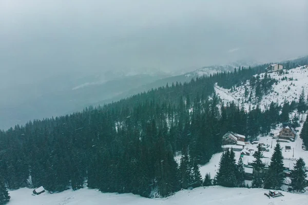 aerial view of small village in snowed mountains. overcast weather. snow storm
