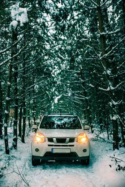 Coche Suv Blanco Bosque Invierno Con Luces Encendidas Viaje Por — Foto de Stock