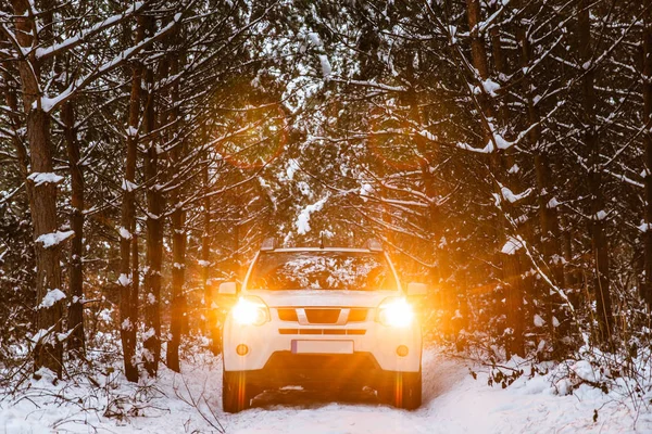 Fehér Suv Autó Téli Erdőben Felkapcsolt Lámpákkal Közúti Utazás — Stock Fotó