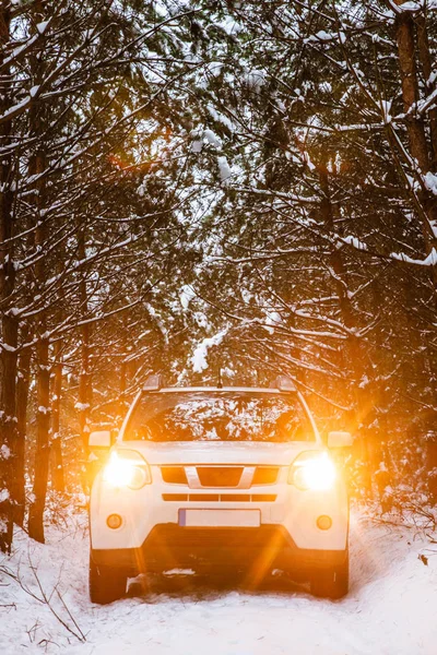 White Suv Car Winter Forest Turned Lights Road Trip Royalty Free Stock Images