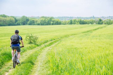 adam yeşil arpa alanındaki iz sürme bisikletle. kopya alanı