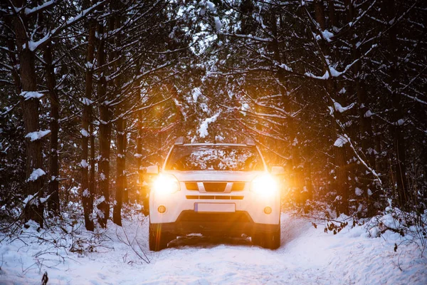 Coche Suv Blanco Bosque Invierno Con Luces Encendidas Viaje Por — Foto de Stock