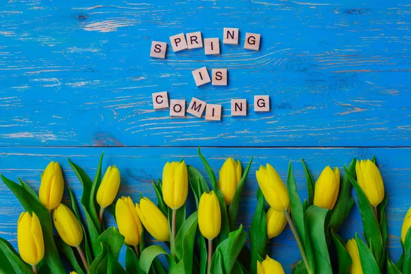 Primavera Viene Texto Tulipanes Sobre Fondo Madera Azul Espacio Copia — Foto de Stock
