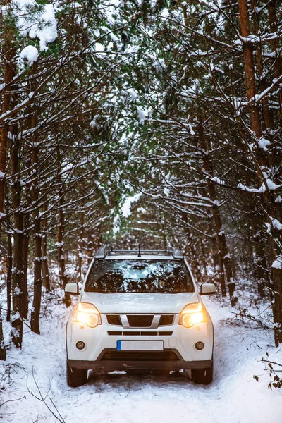 Λευκό Suv Αυτοκίνητο Στο Δάσος Χειμώνα Αναμμένα Φώτα Οδικό Ταξίδι — Φωτογραφία Αρχείου