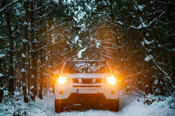 Λευκό Suv Αυτοκίνητο Στο Δάσος Χειμώνα Αναμμένα Φώτα Οδικό Ταξίδι — Φωτογραφία Αρχείου