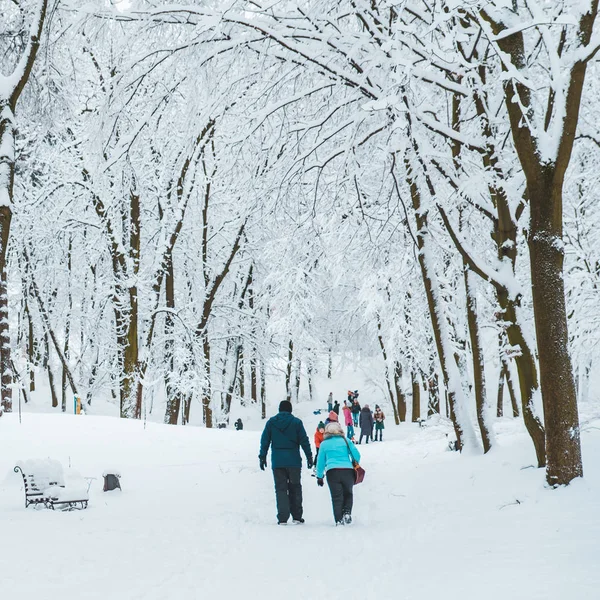 Människor Går Genom Stadsparken Täckt Med Snö Vackra Natur — Stockfoto