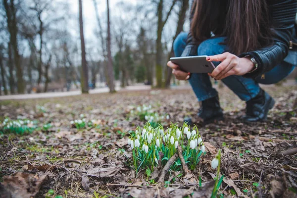 Mujer Tomando Fotos Las Nevadas Parque Ciudad Acerca Primavera —  Fotos de Stock