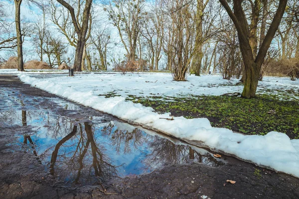 Schneeschmelze Pfütze Auf Der Straße Stadtpark Der Frühling Kommt — Stockfoto