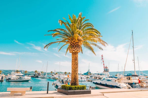 Şehir avuç içi ile defne yatlar. arka planda dağlar. Yaz saati kavramı.