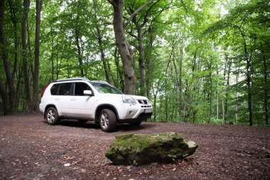 Beyaz jip araba ormandaki yoldan. Yaz saati