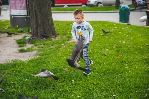 küçük çocuk Park güvercin besleme
