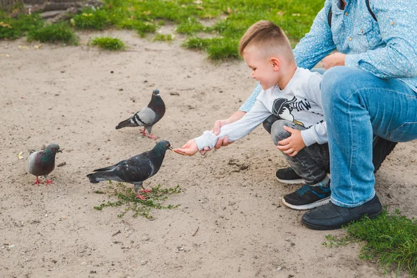 Pai com filho alimentando pombas — Fotografia de Stock