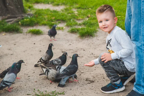 Małe dziecko karmienie gołębi w parku — Zdjęcie stockowe