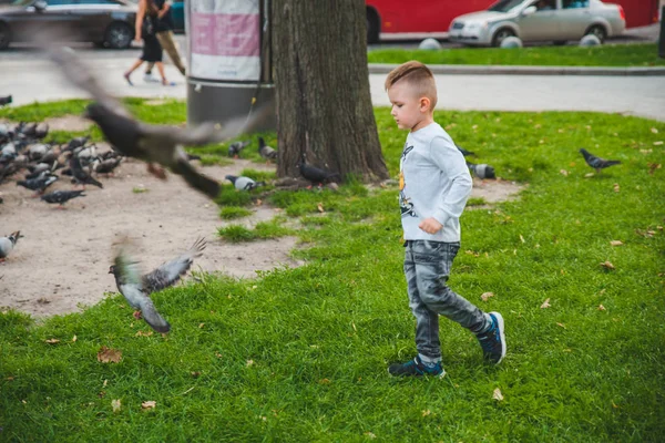 Kleines Kind füttert Tauben im Park — Stockfoto