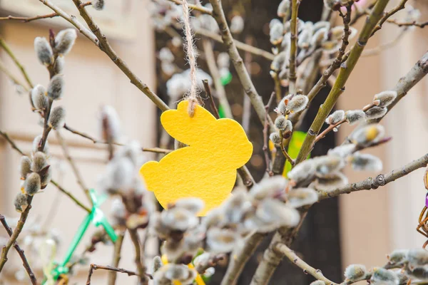 Weidenzweige aus nächster Nähe. Der Frühling kommt — Stockfoto