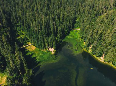 Göl Karpat Dağları'nda havadan görünümü