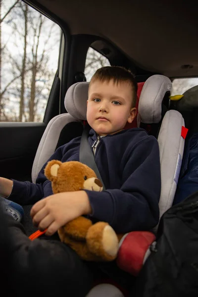 Cute little boy with fluffy bear in car chair at back seats in road trip. — Stock Photo, Image
