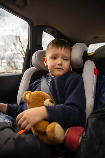 Cute little boy with fluffy bear in car chair at back seats in road trip. — Stock Photo, Image