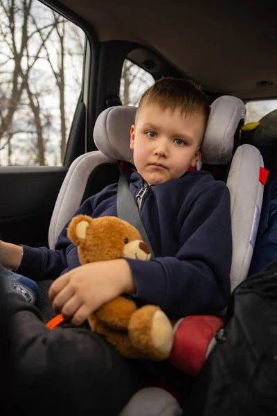 Cute little boy with fluffy bear in car chair at back seats in road trip. — Stock Photo, Image