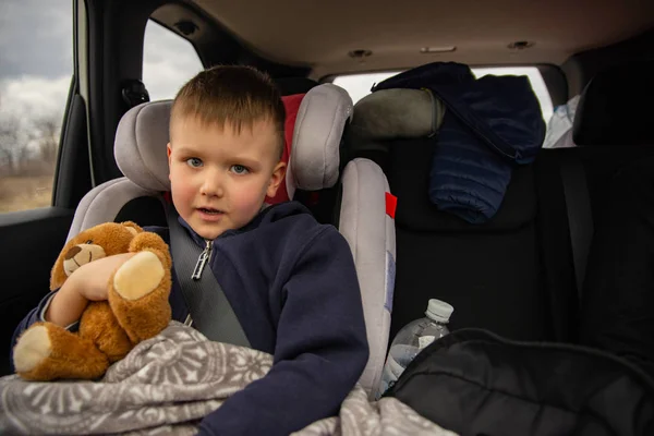 Cute little boy with fluffy bear in car chair at back seats in road trip. — Stock Photo, Image