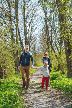 güneşli bir günde park yolu ile yürüyen üç aile