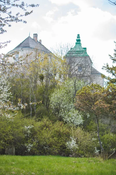 stock image park in front of olesko castle