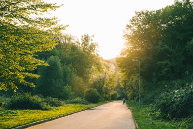 gün batımında şehir parkı görünümü