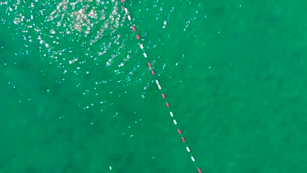 Vacanze Estive Mare Persone Che Nuotano Acqua Pulita Blu Attività — Video Stock