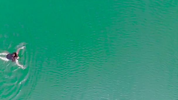 Young Woman Swimming Lake Azure Water Aerial View — Stock Video