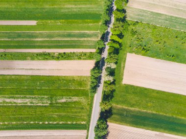 Alanları tarım havadan görünümü