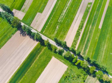 Alanları tarım havadan görünümü