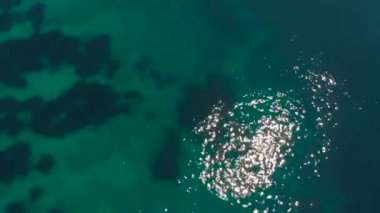 Sörf tahtasındaki kürekli insanlar. kayalık sahil. yaz saati kavramı