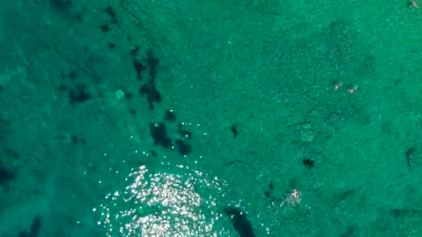 Man Swimming Blue Sea Water Summer Time Concept — Stock Video