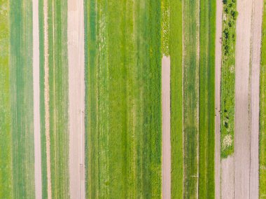 Alanları tarım havadan görünümü