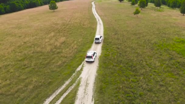 Widok Lotu Ptaka Dwa Białe Suv Jazdy Samochodem Przez Szlak — Wideo stockowe