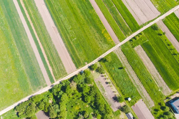 Vista aérea de los campos de cultivo —  Fotos de Stock