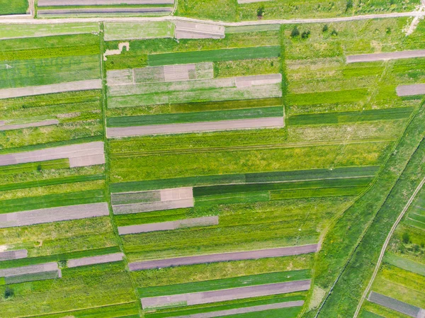 Aerial view of farming fields — Stock Photo, Image