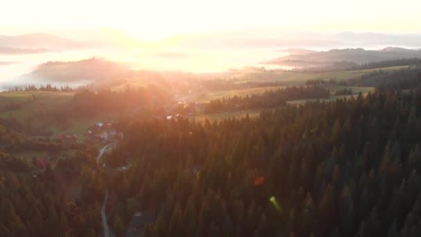 Widok Lotniczy Drone Lotu Nad Lasem Górach Zachodzie Słońca Krajobraz — Wideo stockowe