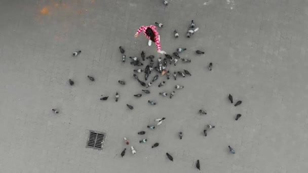 头顶上看到年轻漂亮的女人在红色礼服喂养鸟类在城市广场 慢动作 — 图库视频影像