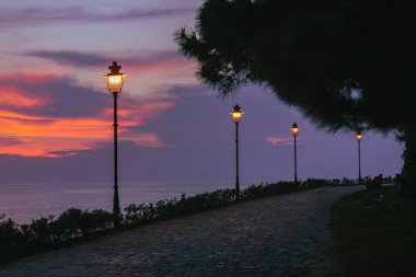 hırvatistan'da rovinj şehirde arka planda şehir ışıkları lambaları deniz ile park görünümü