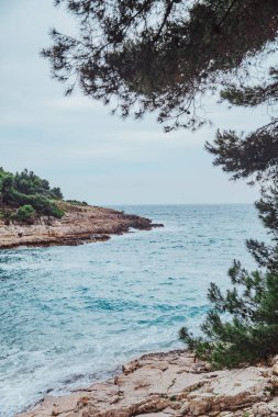 kayalık plaj ile fırtınalı deniz suyu manzara görünümü