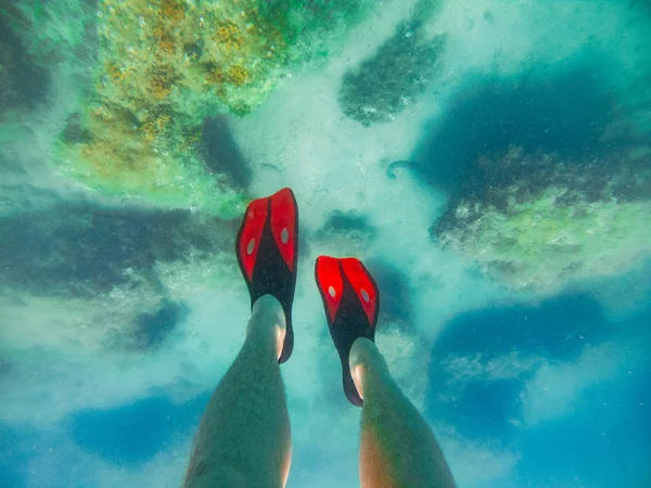 mans legs in red flippers underwater snorkeling