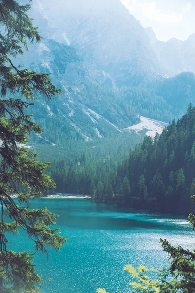 山中的湖与杉木树林的景色 — 图库照片