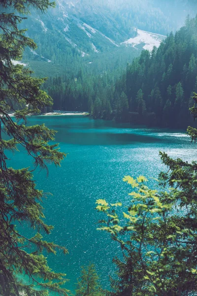 Vista do lago em montanhas com bosques de abeto — Fotografia de Stock