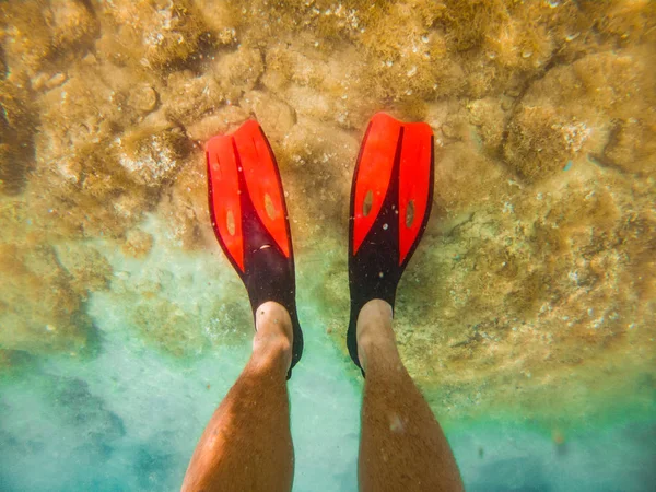 Mans ben i röda simfötter undervattens snorkling — Stockfoto