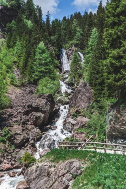 köknar ağaçları ile orman dağlarında şelale görünümü